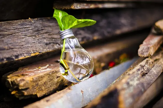 Come Creare Decorazioni Fai da Te con Materiali Riciclati