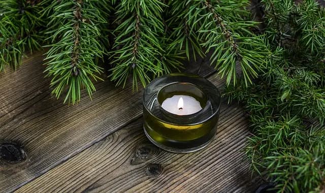 10 Idee Fai da Te per Creare Decorazioni Natalizie Uniche