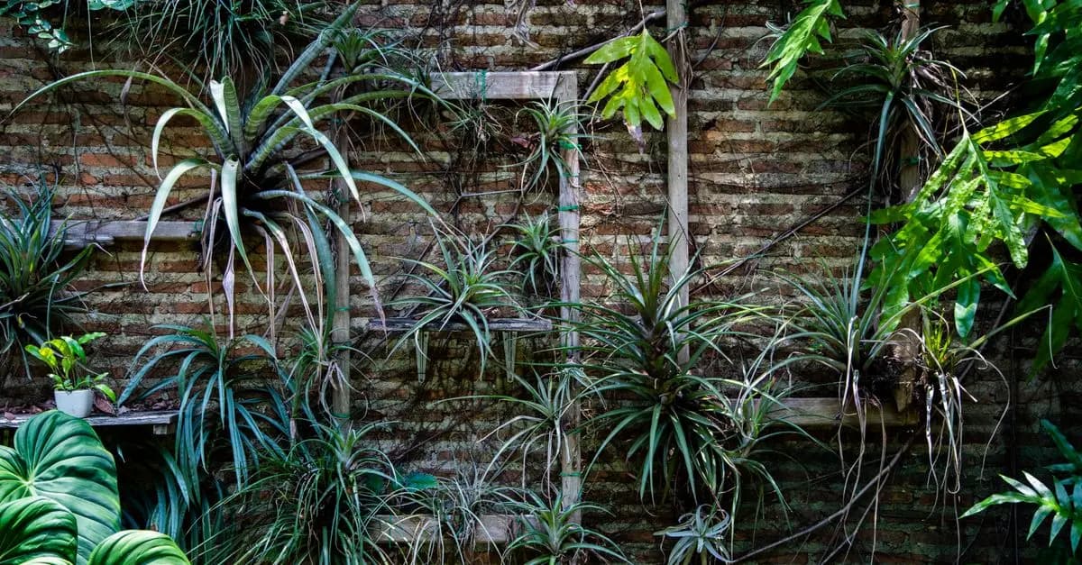 Come Creare un Giardino Verticale Fai da Te