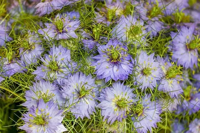 Come Creare una Decorazione Fai da Te per il Giardino