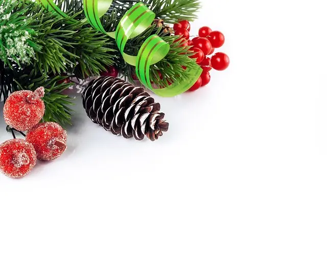 Come Creare Decorazioni Natalizie Fai da Te Originali
