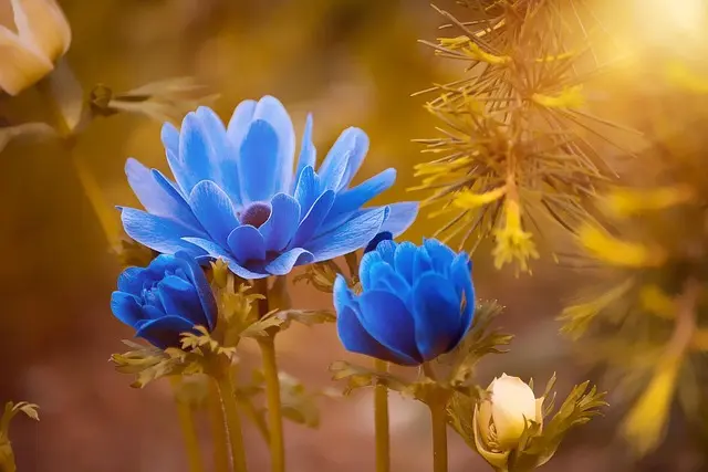 Come Creare Decorazioni Fai da Te per il Giardino