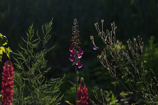 10 Idei Fai da Te per Rinnovare il Tuo Giardino con Stile
