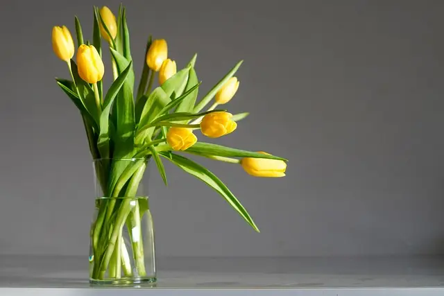5 Idee Fai da Te per Creare Decorazioni Primaverili