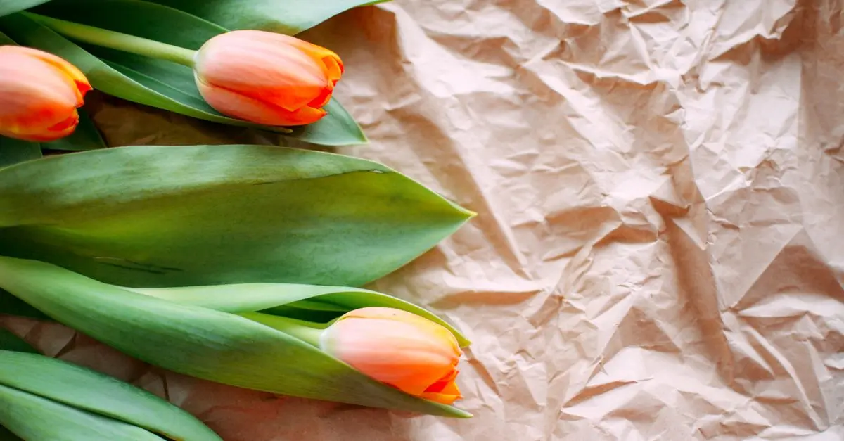 Decora la Casa con Fiori di Carta