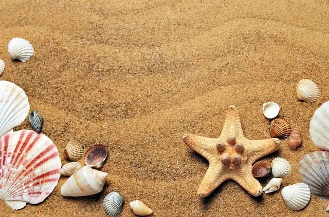 Come Creare Decorazioni Fai da Te per Ogni Ricorrenza