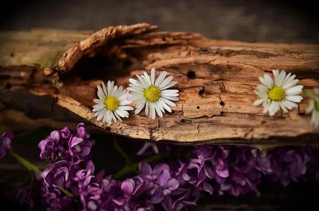 Come Creare una Decorazione Fai da Te per il Giardino