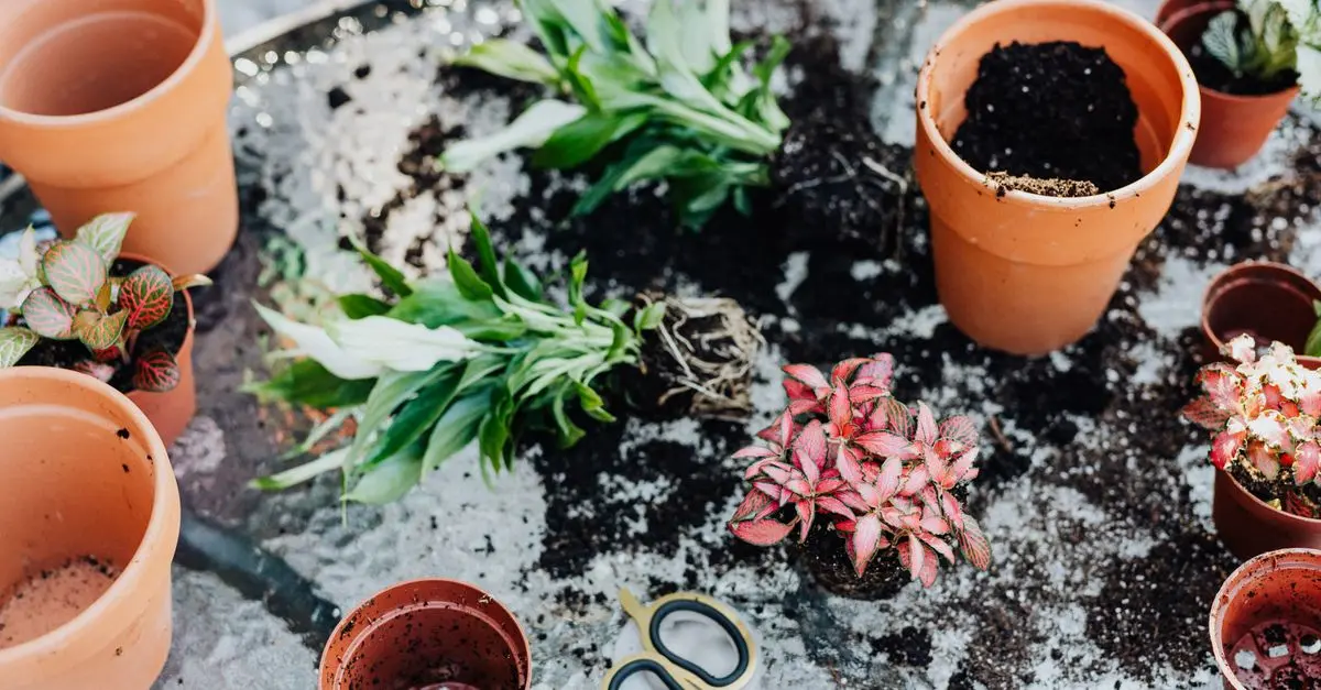 Come Creare Decorazioni Fai da Te per il Giardino: Guida Pratica