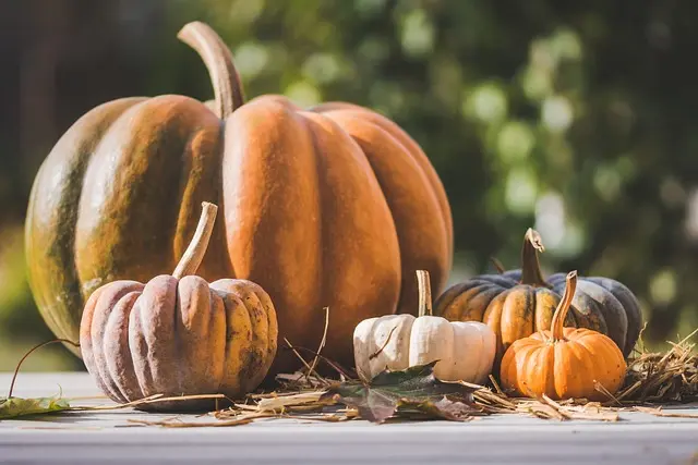 Come Creare Decorazioni Fai da Te per Ogni Stagione
