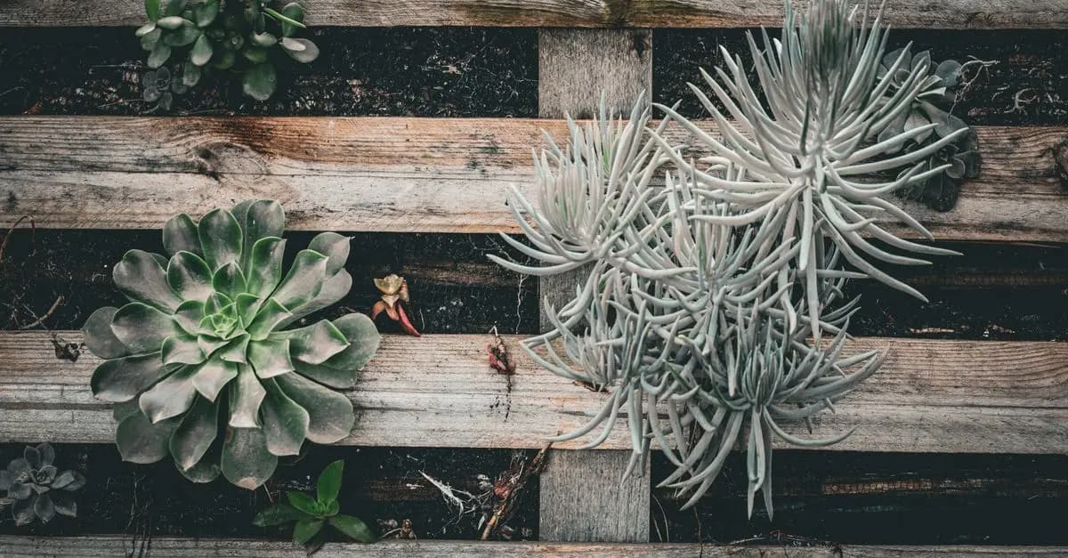 10 Idee Fai da Te per Decorare il Tuo Giardino