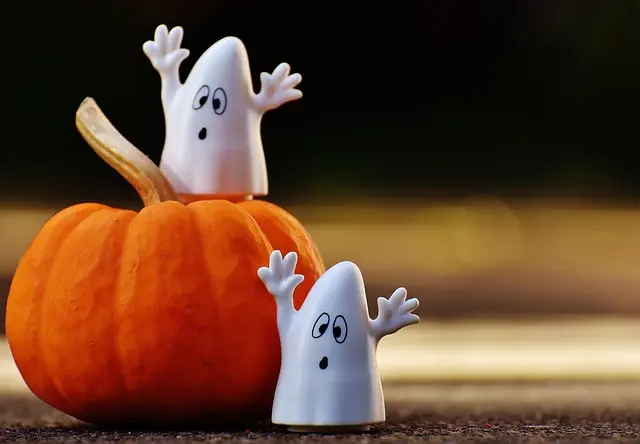 Come Creare Decorazioni Fai da Te per la Festa di Halloween