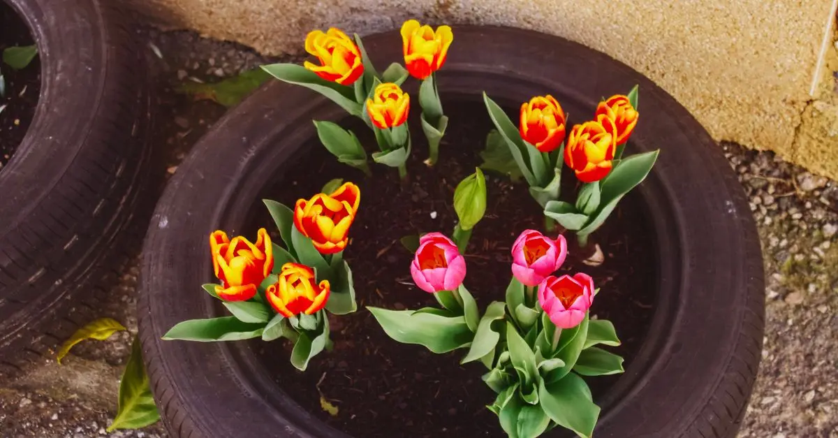 Come Creare Decorazioni Fai da Te per il Giardino
