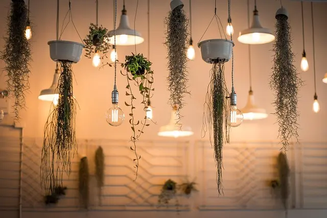 Come Creare Decorazioni Fai da Te per Ogni Occasione