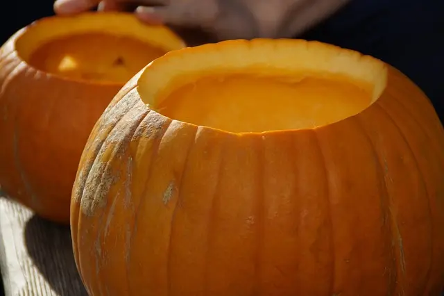 Come Creare Decorazioni Fai da Te per la Festa di Halloween