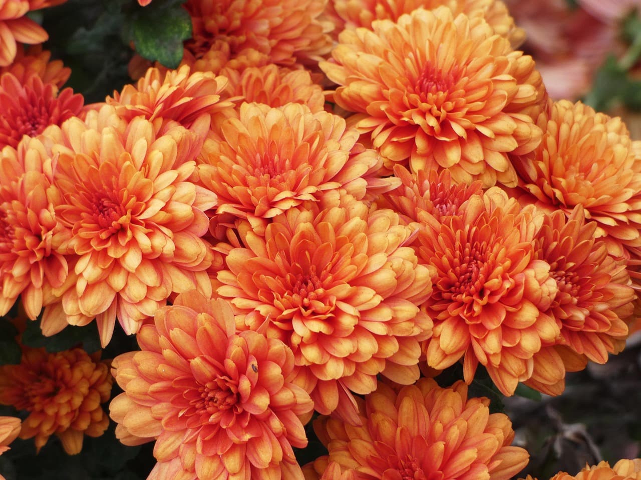 Come Creare Decorazioni Fai da Te per il Giardino