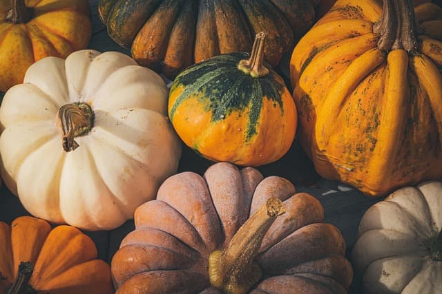 Come Creare Decorazioni Fai da Te per Ogni Stagione